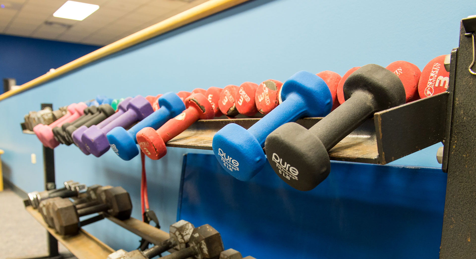 Row of differently colored hand weights in gym.