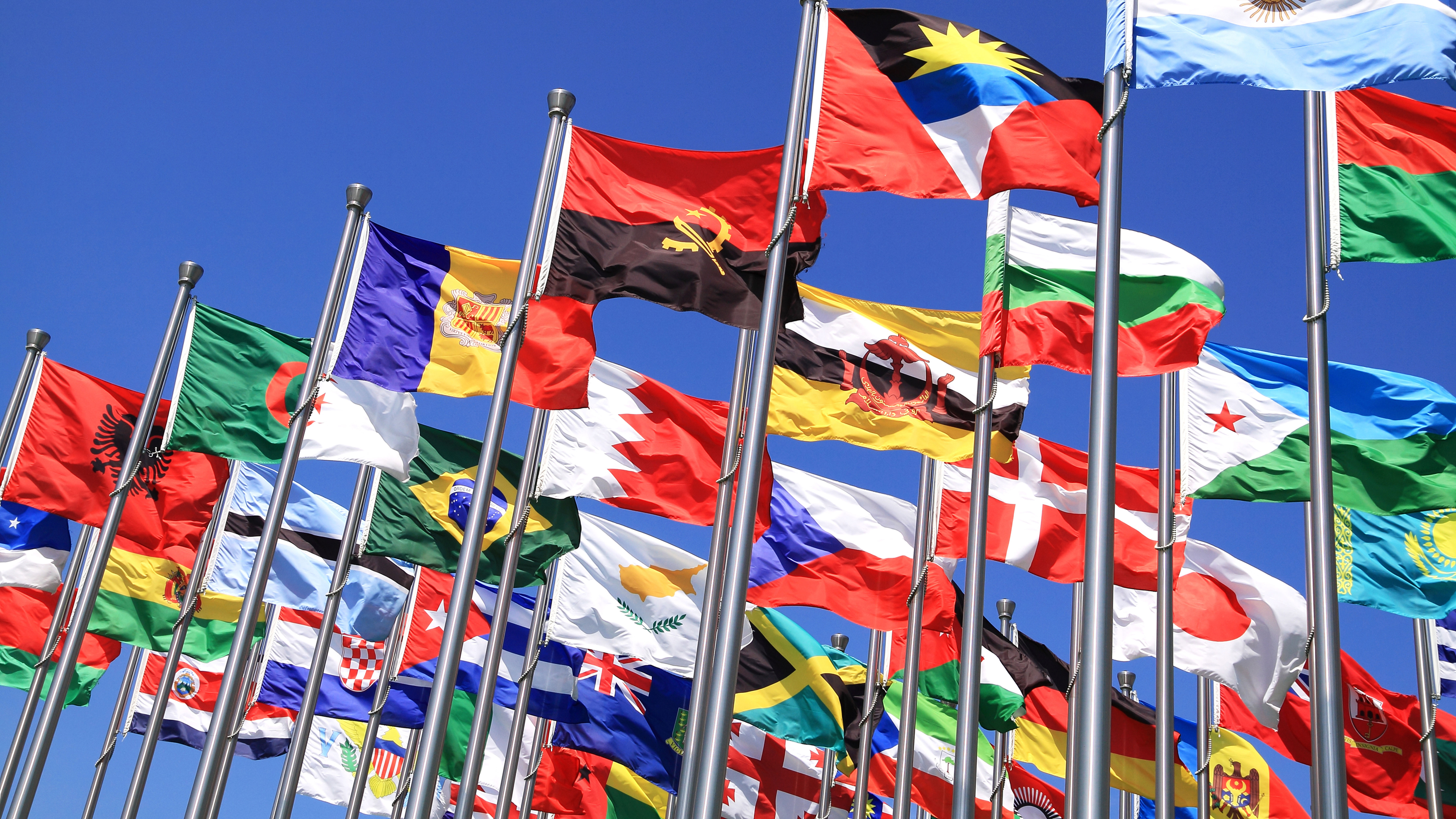Many flags of different countries.