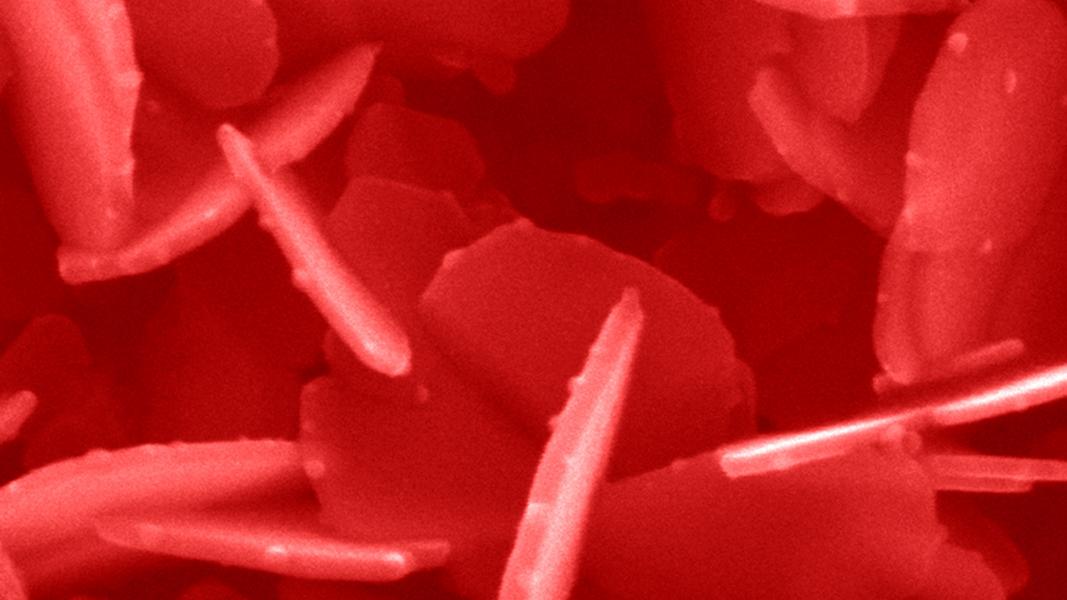 Closeup of red nanoparticles.