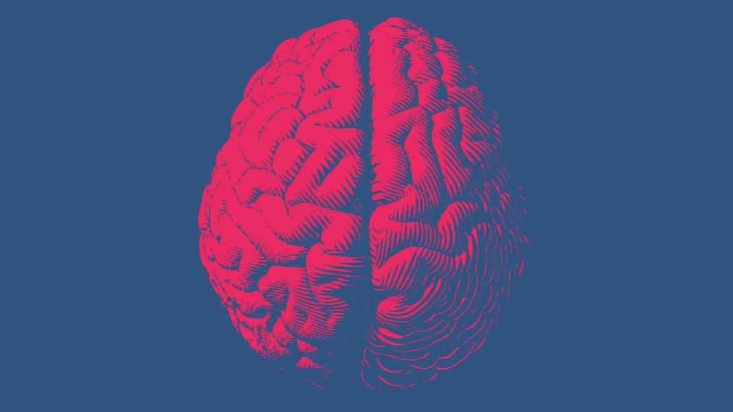 Red illustration of brain on blue background.